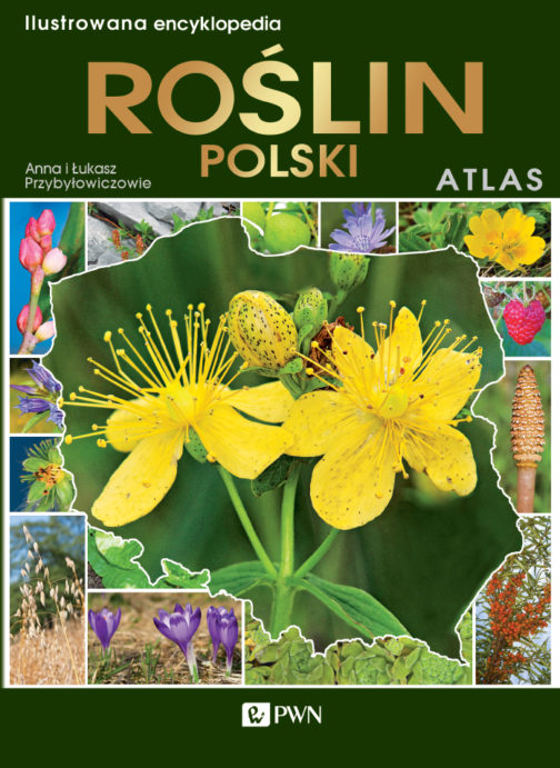 ATLAS. ILUSTROWANA ENCYKLOPEDIA ROŚLIN POLSKI