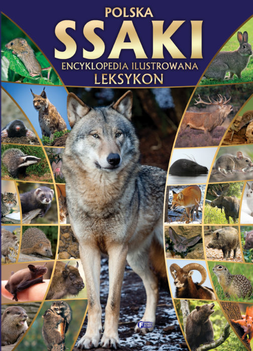 POLSKA SSAKI. ENCYKLOPEDIA ILUSTROWANA. LEKSYKON