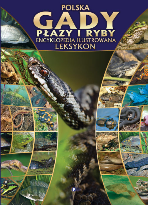 POLSKA GADY, PŁAZY I RYBY. ENCYKLOPEDIA ILUSTROWANA. LEKSYKON