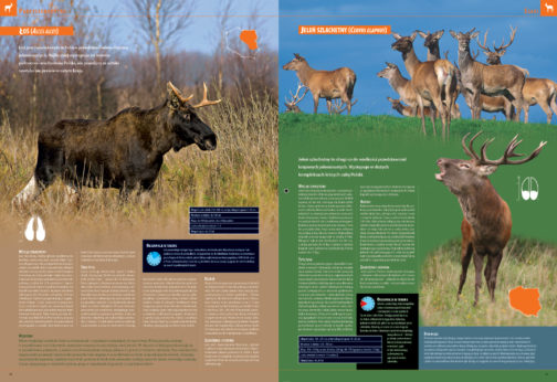ILUSTROWANA ENCYKLOPEDIA ZWIERZĄT POLSKI. ATLAS