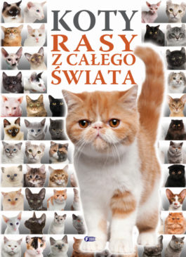 KOTY. RASY Z CAŁEGO ŚWIATA