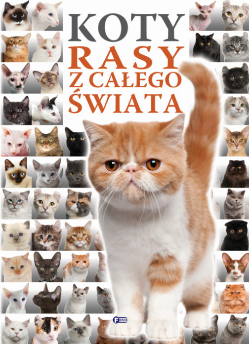 KOTY. RASY Z CAŁEGO ŚWIATA