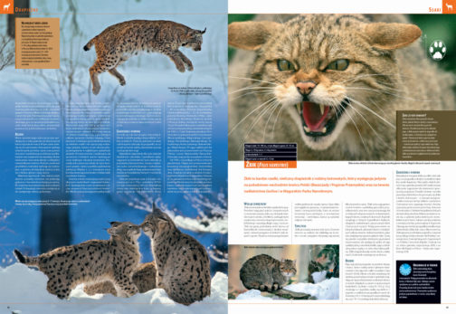 ILUSTROWANA ENCYKLOPEDIA ZWIERZĄT I ROŚLIN POLSKI