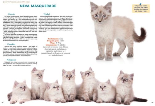 KOTY RASOWE. PODRĘCZNA ENCYKLOPEDIA