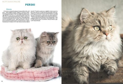 KOTY RASOWE. PODRĘCZNA ENCYKLOPEDIA