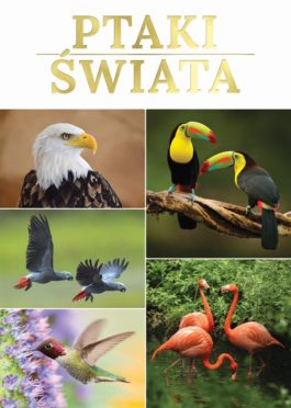 PTAKI ŚWIATA