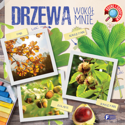 ROSNĘ I ODKRYWAM. DRZEWA WOKÓŁ MNIE